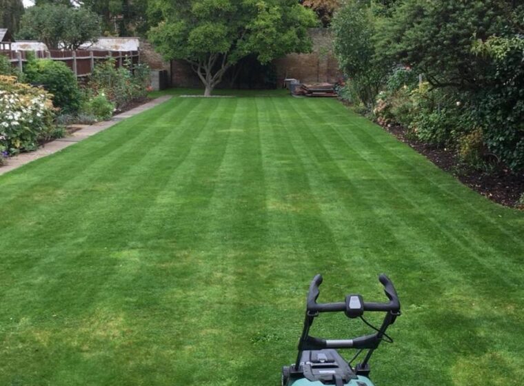 WhatsApp Image 2025-10-28 at 8.31.25 AM (4)