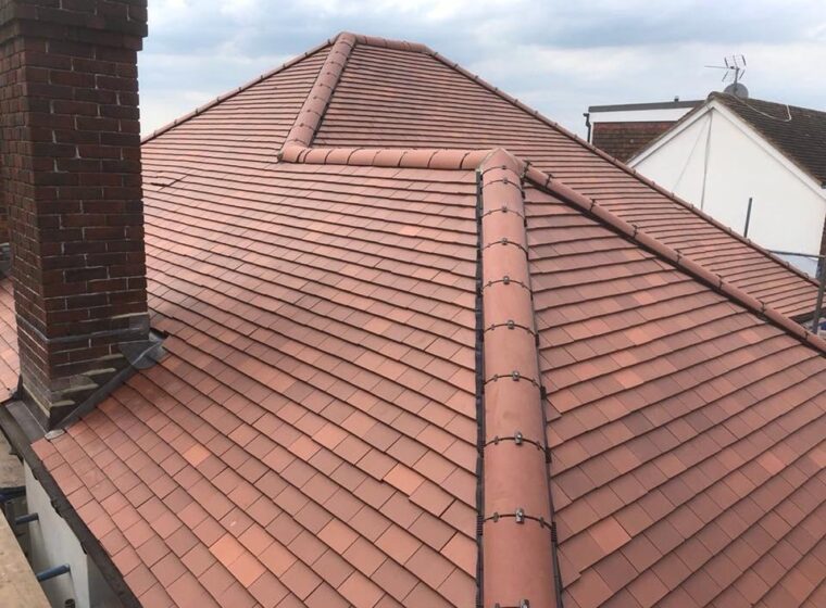 WhatsApp Image 2026-02-03 at 8.16.06 PM