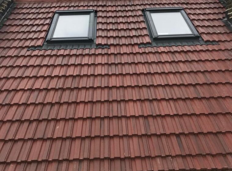 WhatsApp Image 2026-02-03 at 8.16.07 PM (1)